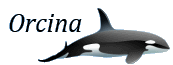Orcina OrcaFlex V10 and OrcaBend V4.3 cracked softwares